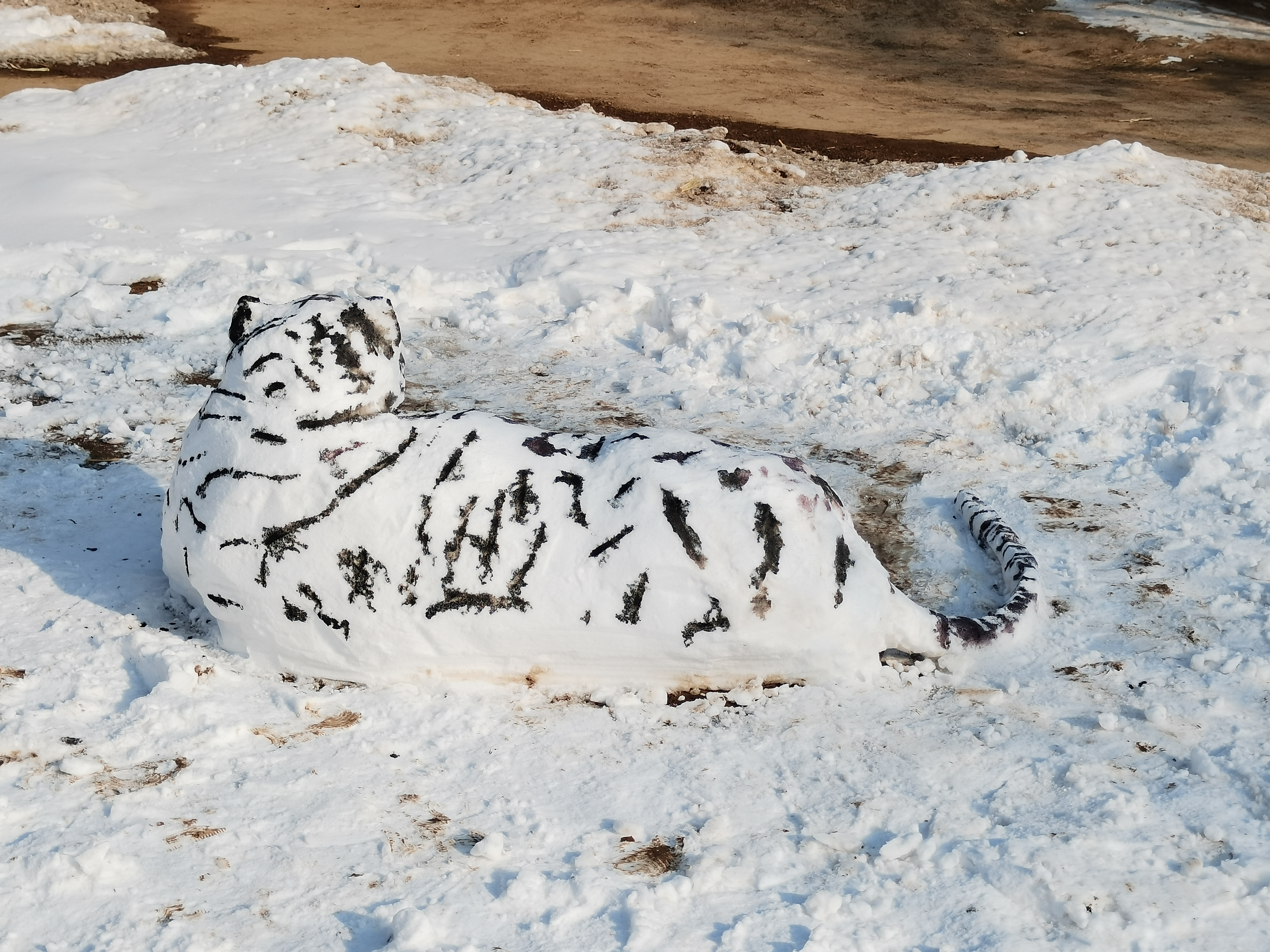 虎年堆雪虎