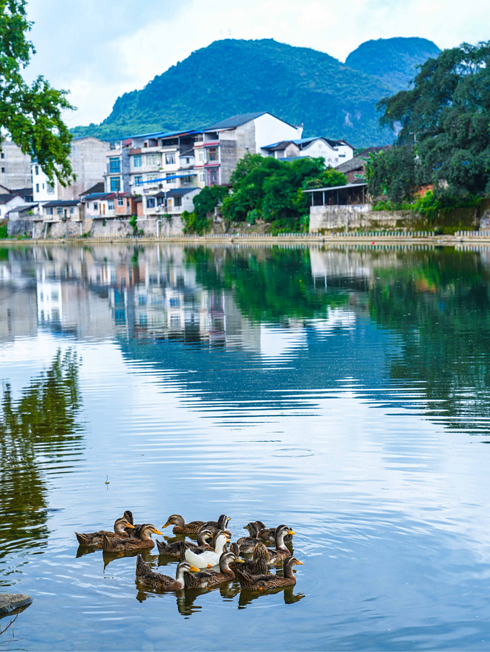 百寿镇是位于广西壮族自治区桂林市永福县的一个小镇,该镇地处桂林市