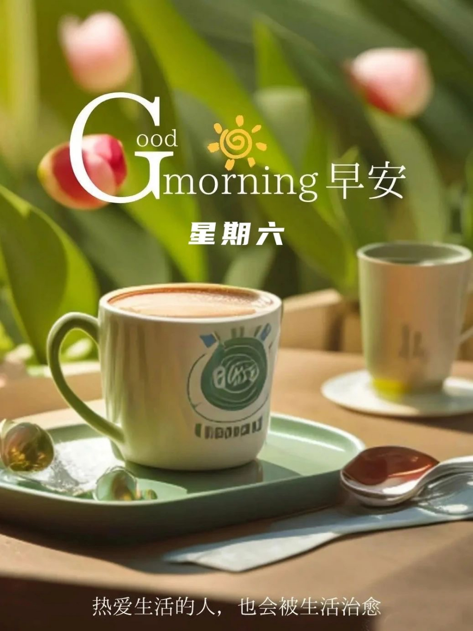 周六早上好!送一份心意,美美满满;送一份快乐,健康每天!