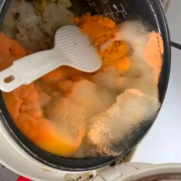 我竟然忘记了高压锅里的米饭,放的时间太久了,全