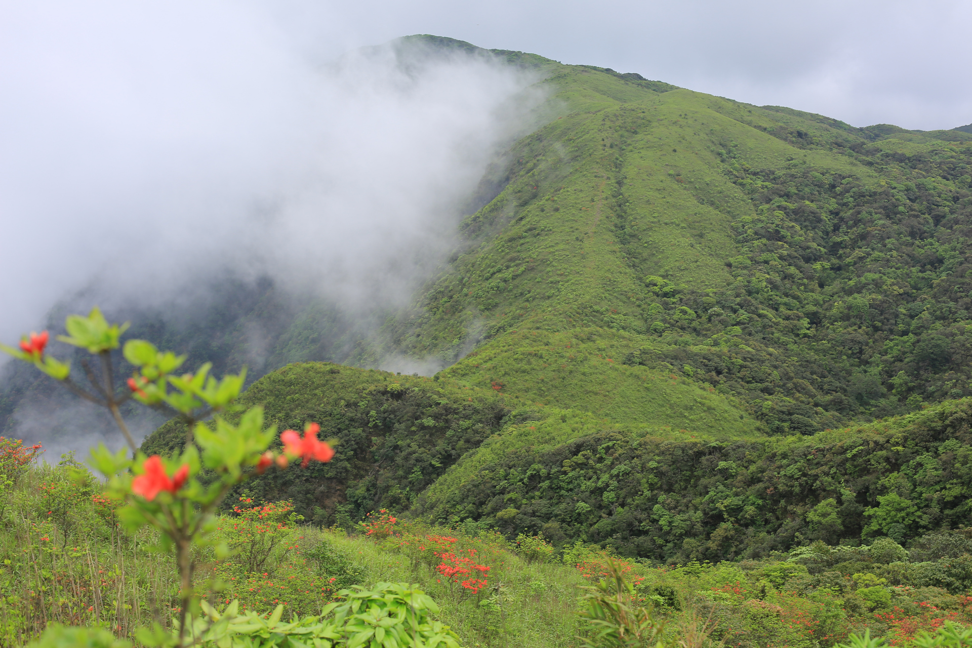 首峰村图片