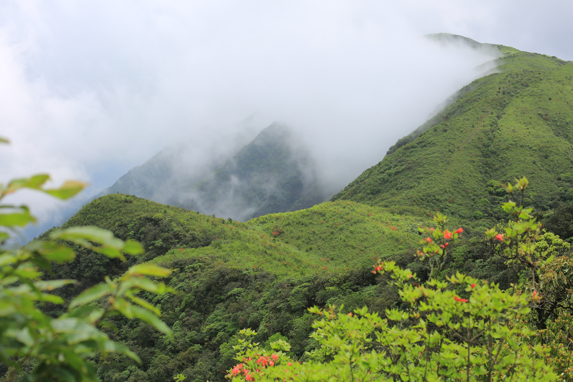 湖南道县韭菜岭,中国十大非著名山峰首峰!#爬山# 户外