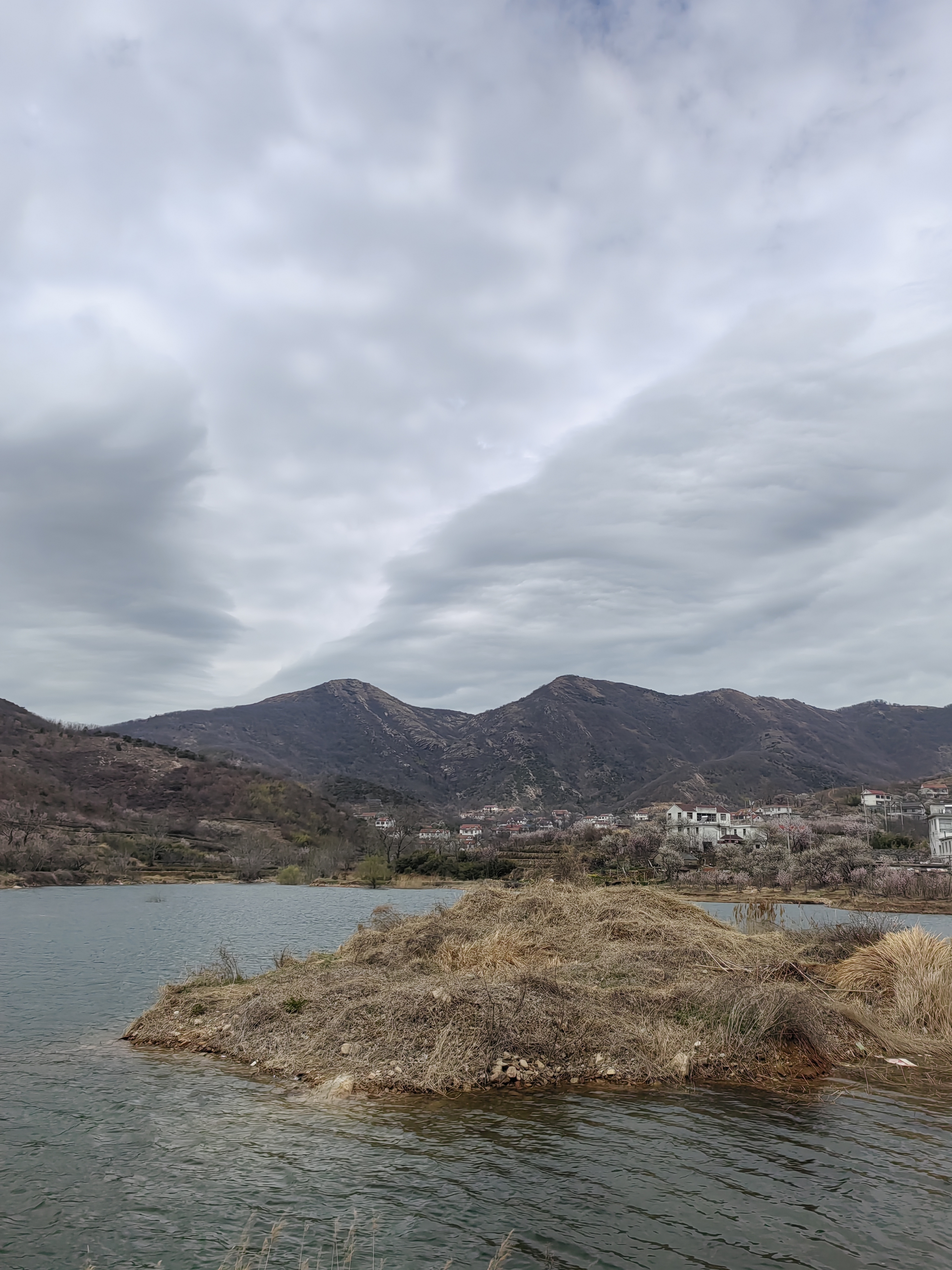 连云港樱桃谷,3月下旬正是樱桃花盛开,漫山遍野都是花9494,空气中