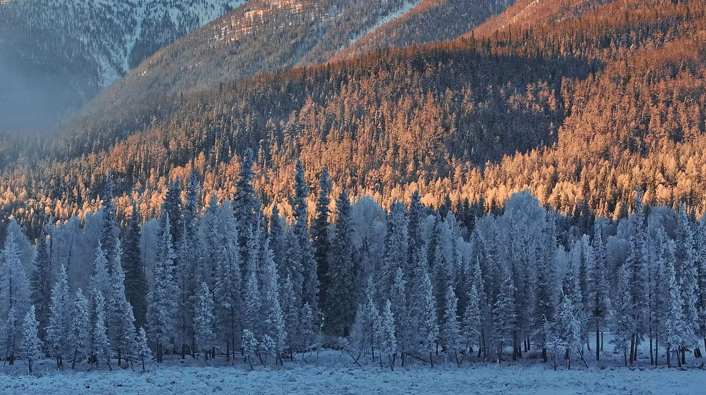 11月15日早上,新疆阿勒泰喀纳斯景区的神仙湾冬日美景
