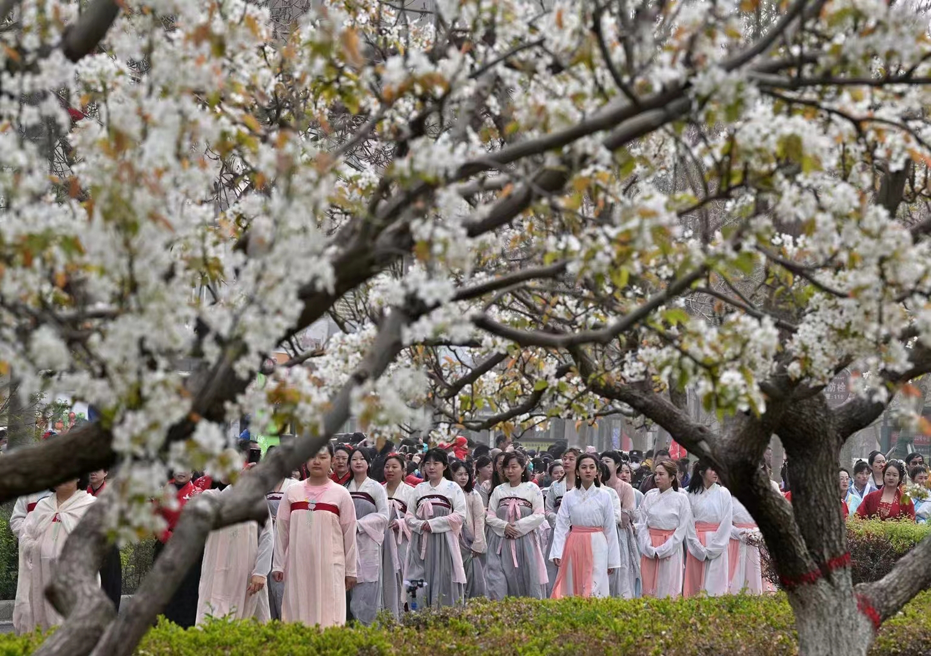 新疆·库尔勒2021第七届香梨文化旅游节暨"梨花节"在库尔勒市各乡,镇