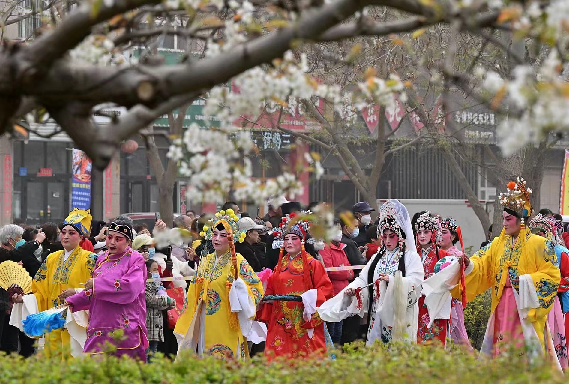 新疆·库尔勒2021第七届香梨文化旅游节暨"梨花节"在库尔勒市各乡,镇