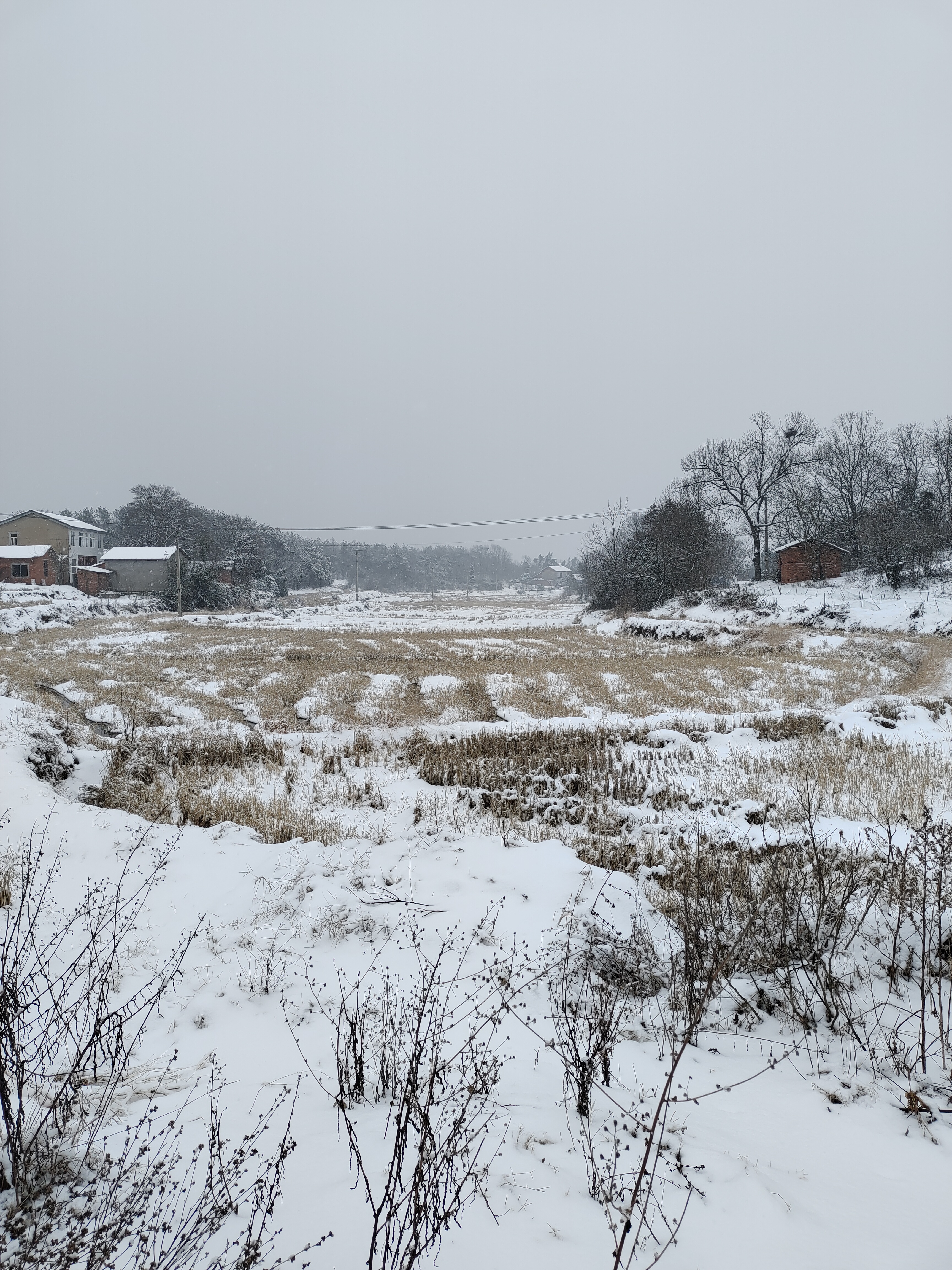 老家雪景图片