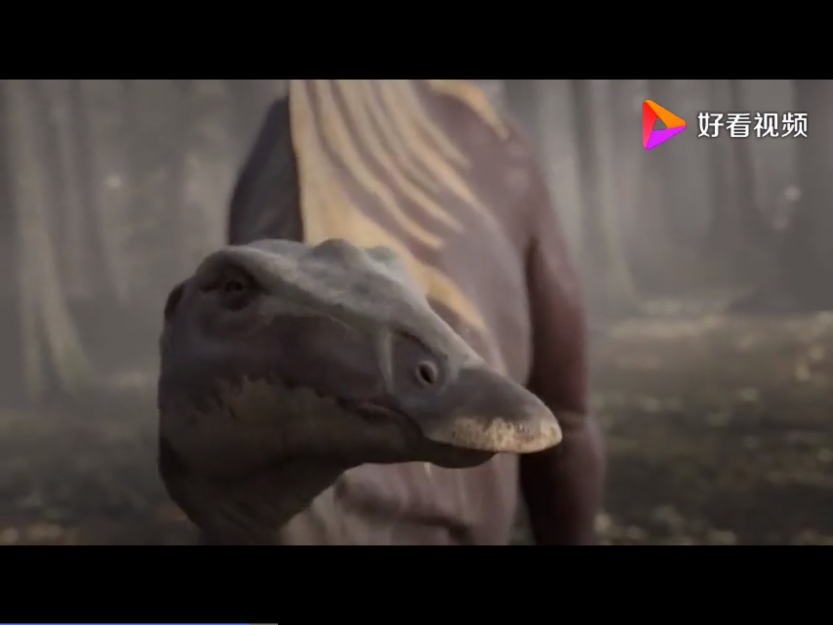 豪勇龙又叫勇敢龙,无畏龙.身长7米,体重3.5吨.和棘龙一样,都有帆状物.