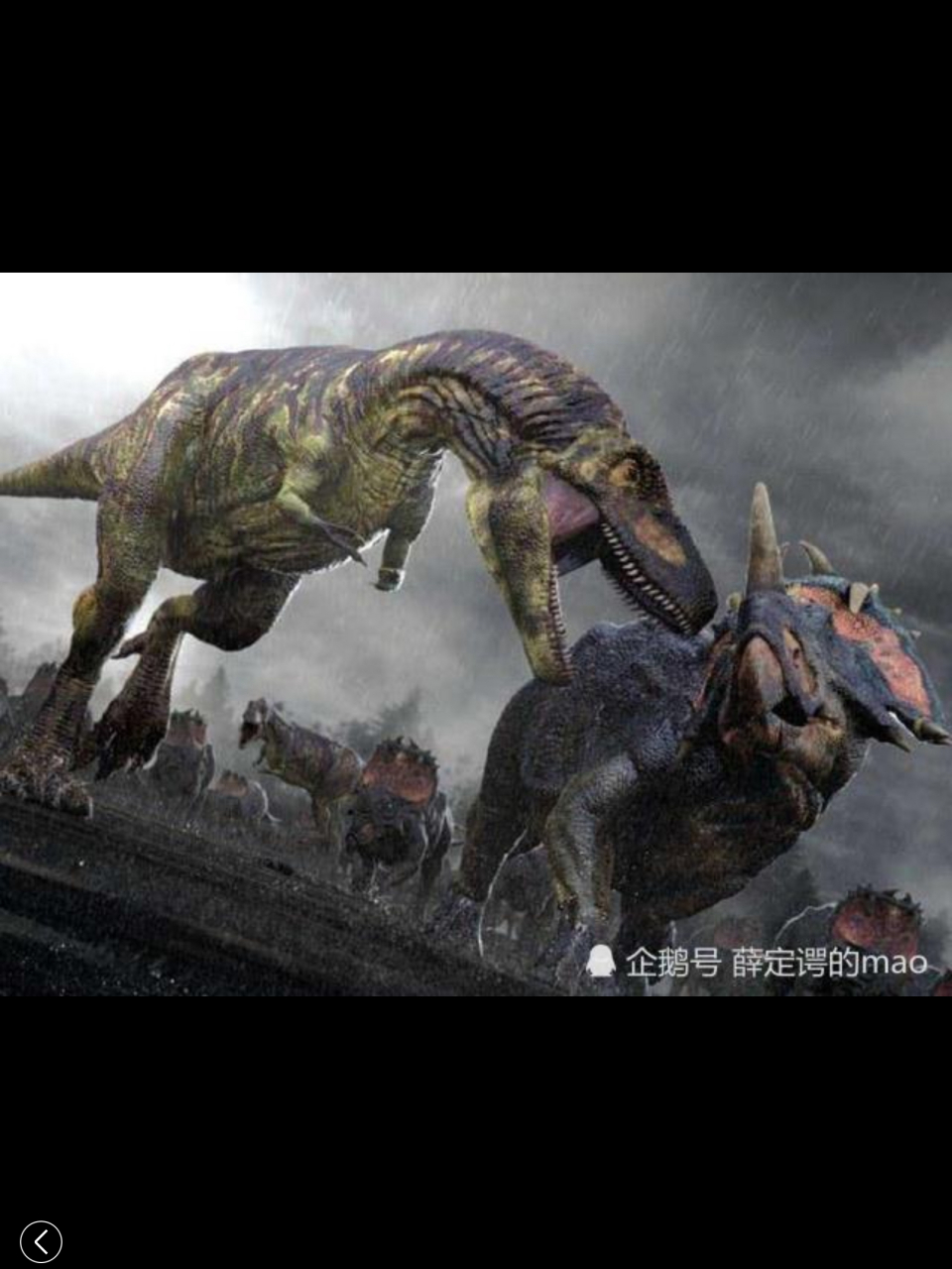 恶霸龙又叫恐惧龙,达斯布雷龙.生存于白垩纪,身长可达9米.