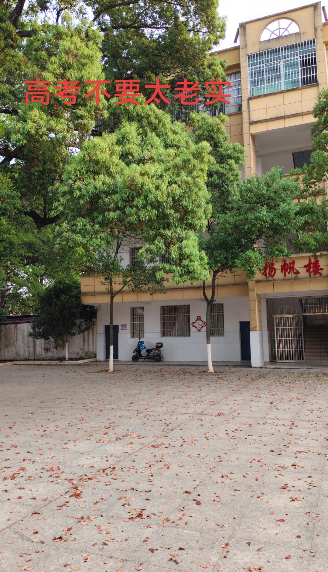 很多人一直觉得考试就是考你真实的实力,我告诉你,其实不完全是这样