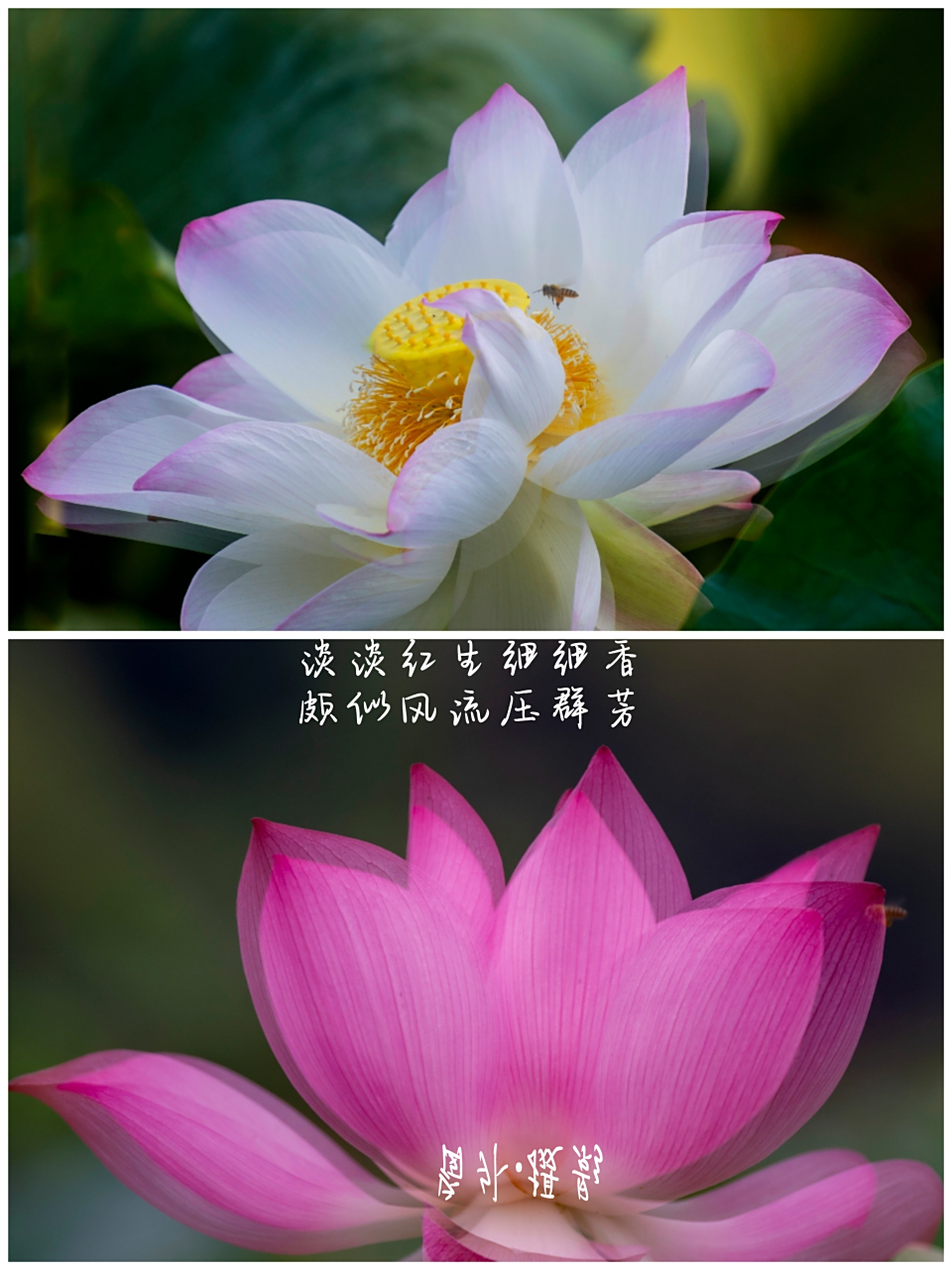 重影式多重曝光