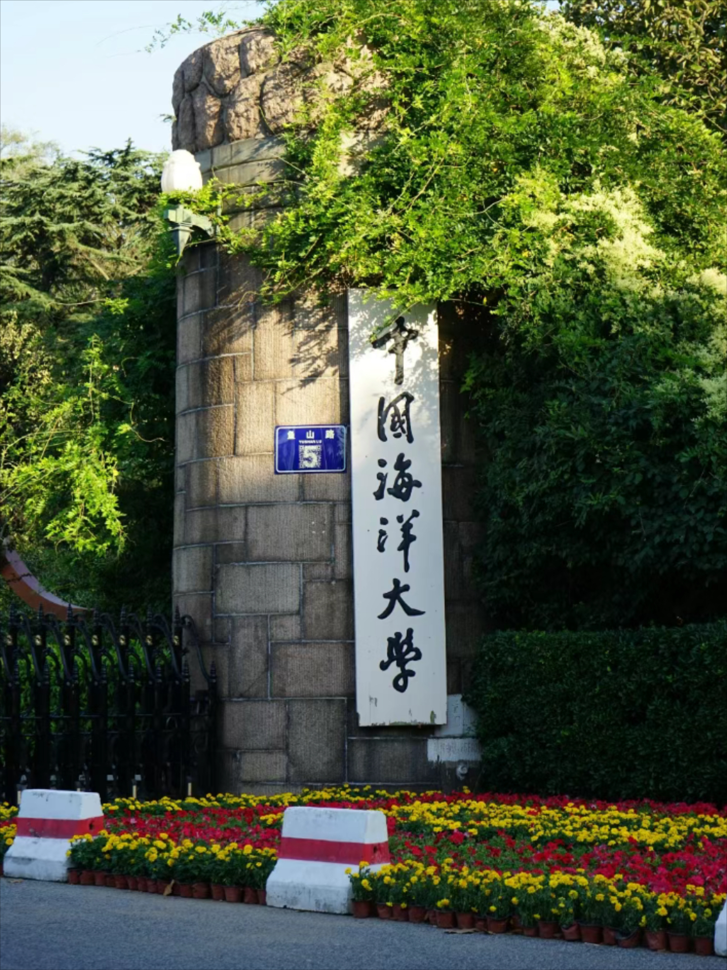 青岛海洋大学校区图片