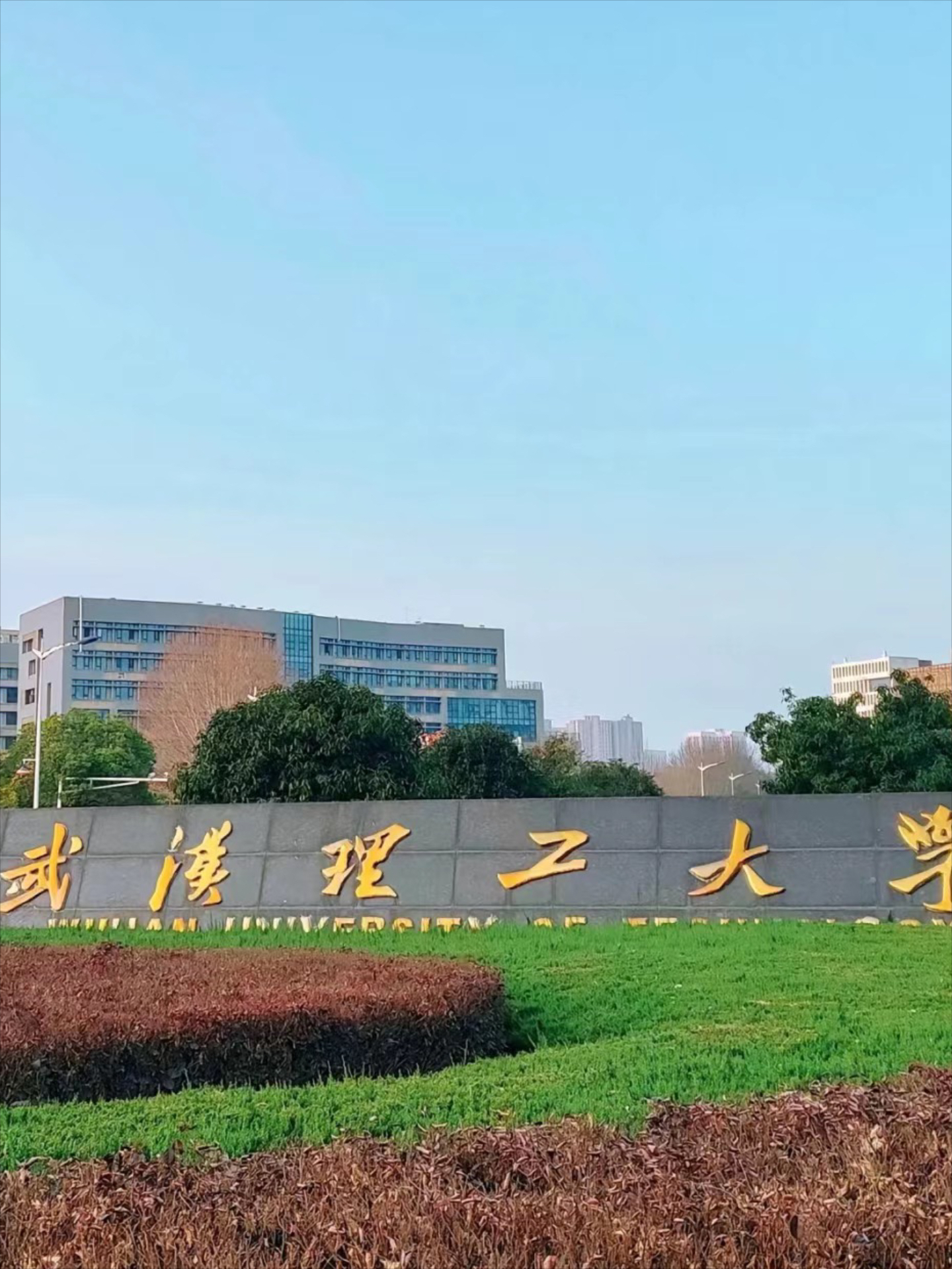 武汉理工大学凌江图片