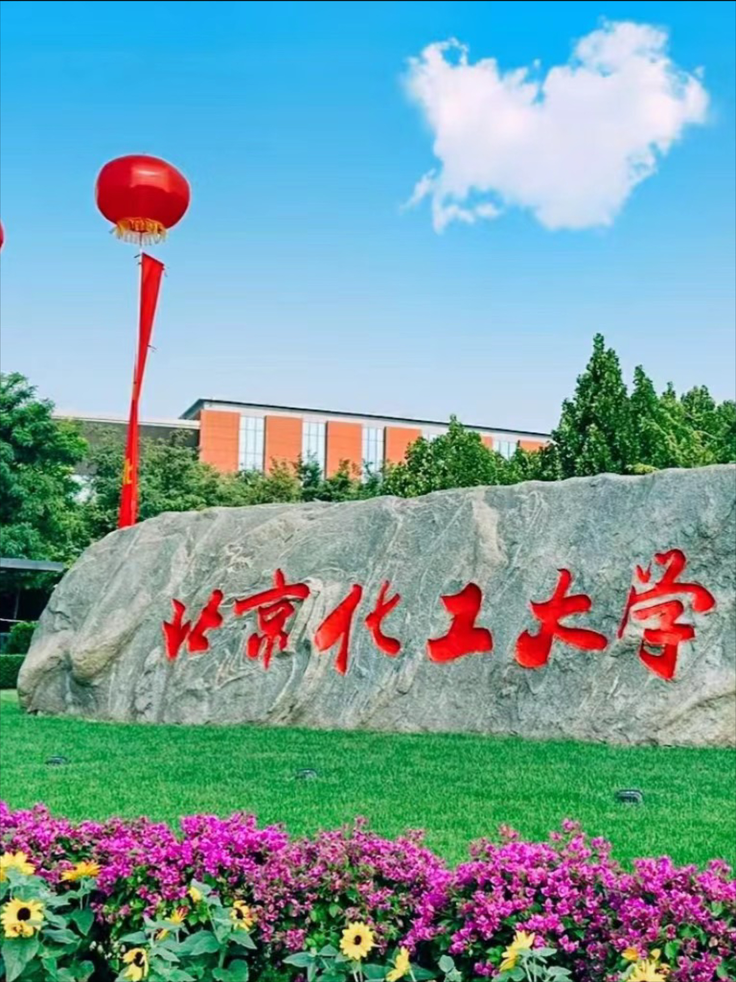 北京化工大学老照片图片