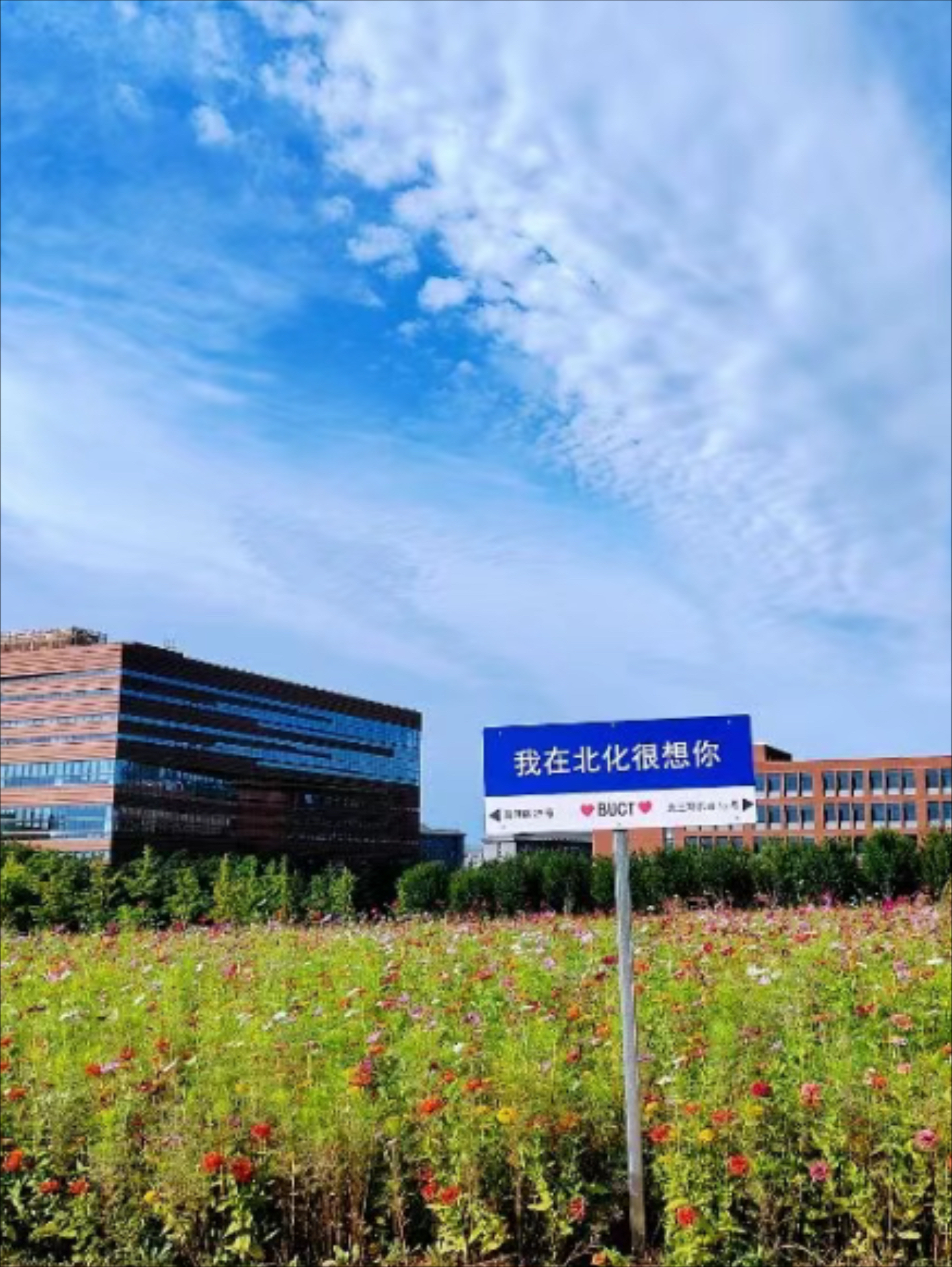 北京化工大学昌平图片