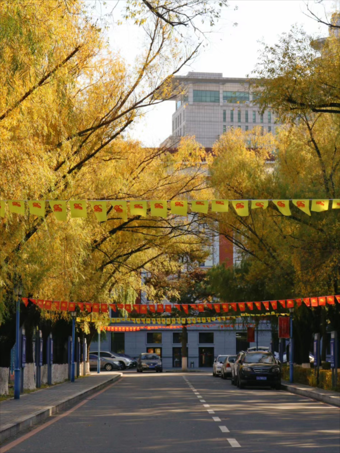 长春大学东校区图片