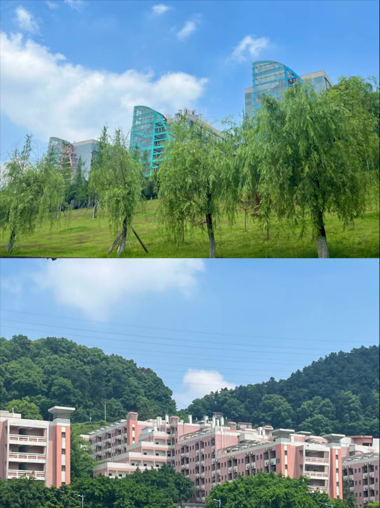 2020重庆邮电大学图片