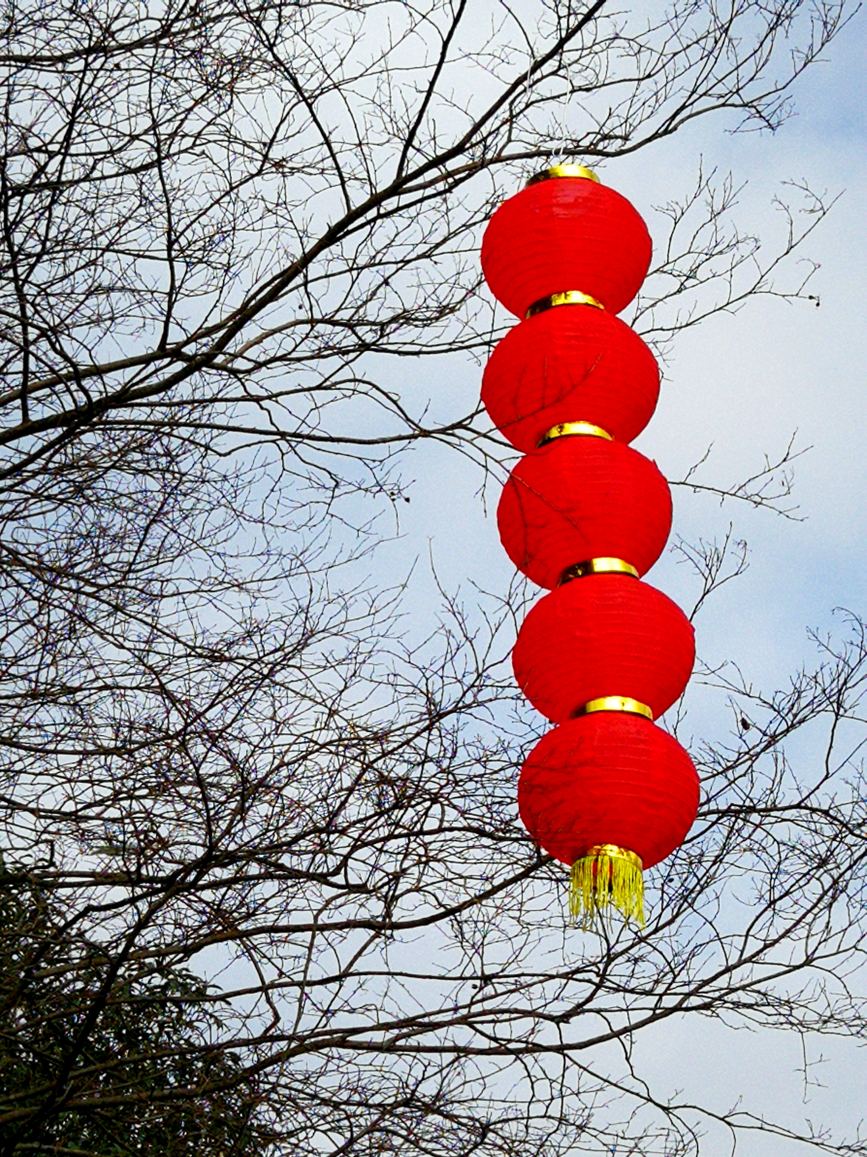 春节美图风景图片