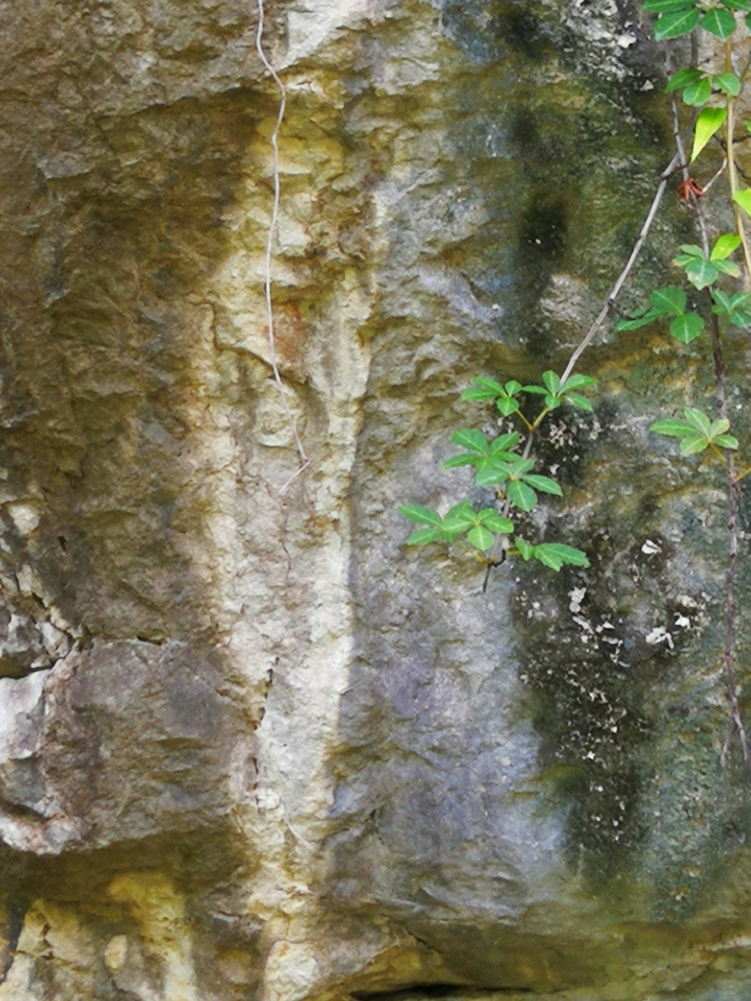 河边上的石头也有灵性