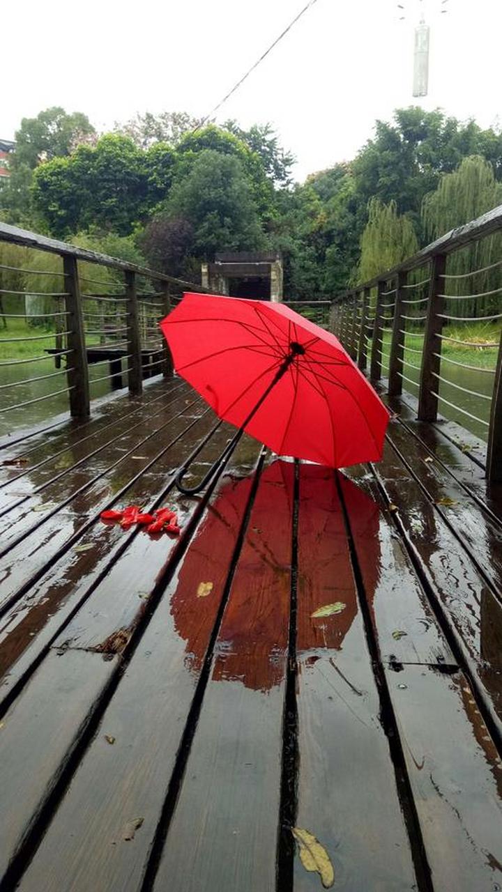 原创诗歌# #情感# #文学#  雨天  手撑红雨伞, 看雨滴滑落成帘