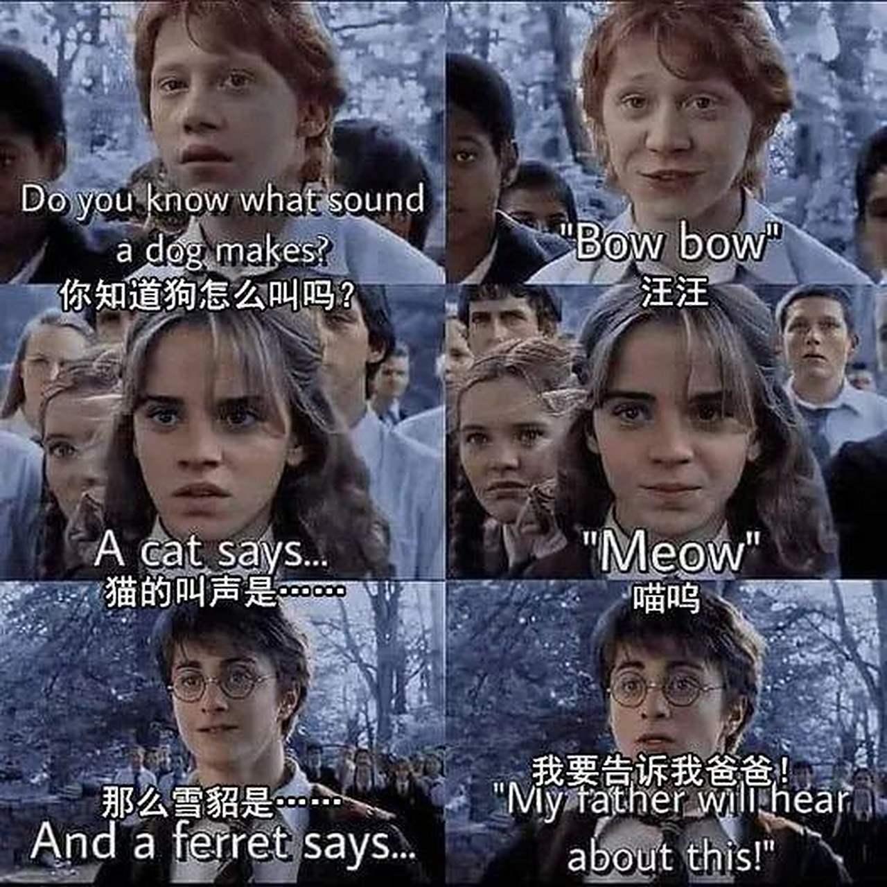 萌萌的马尔福白鼬 #哈利波特