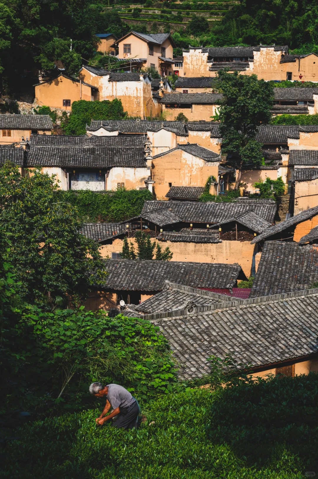 松阳三都旅游景点大全图片