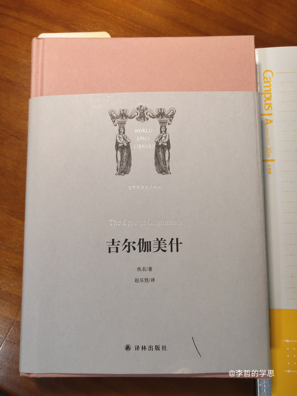 我是吉尔伽美什小说
