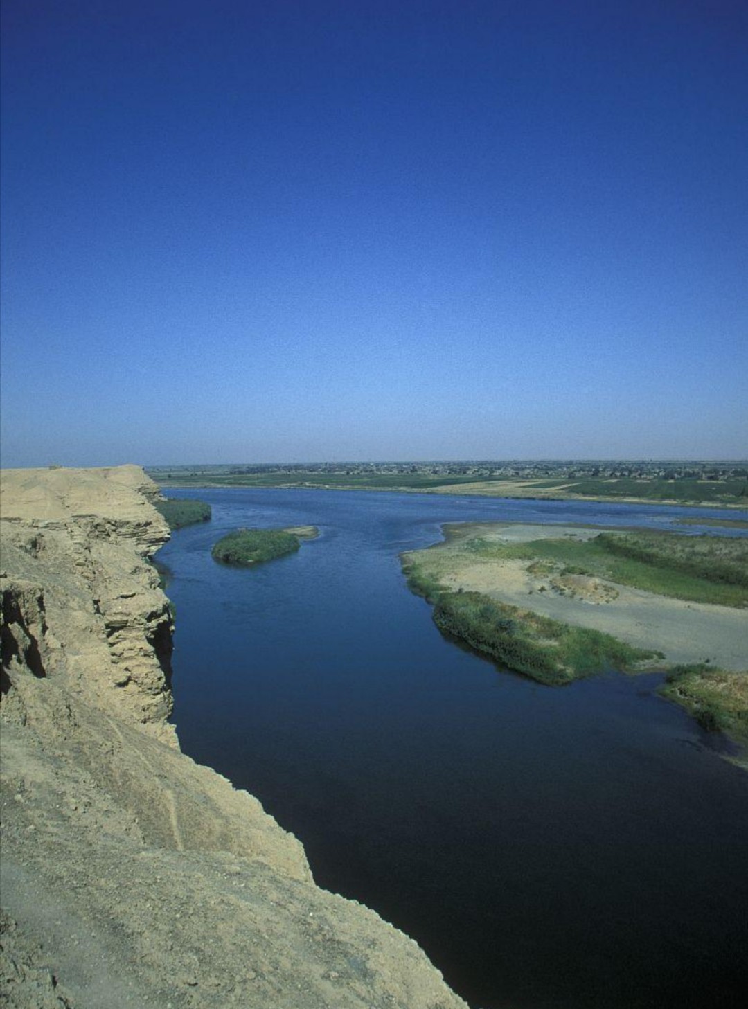 当年中国援建伊拉克项目,有工人发现幼发拉底河里甲鱼成堆,项目部就由