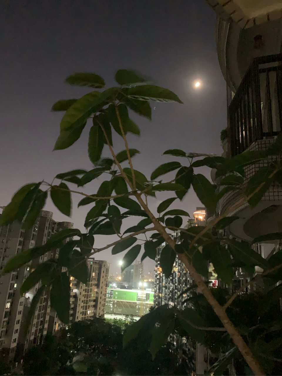 坐在阳台吹着风,看着月亮在夜空划过也是很美好的事情.