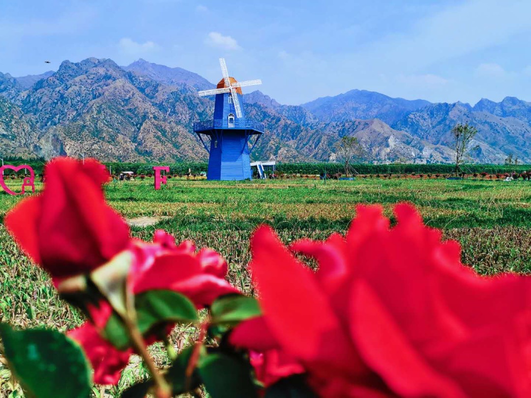 七彩大地旅游景区图片