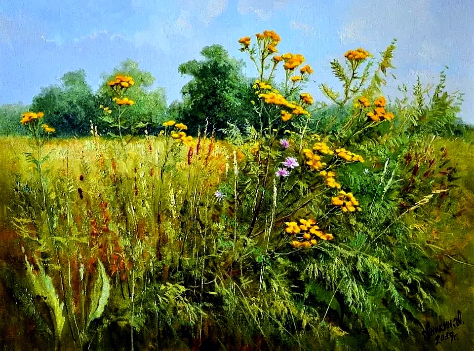 大师高清油画风景《秘境》🌾金黄色草地上的宁静时光,仿佛走进