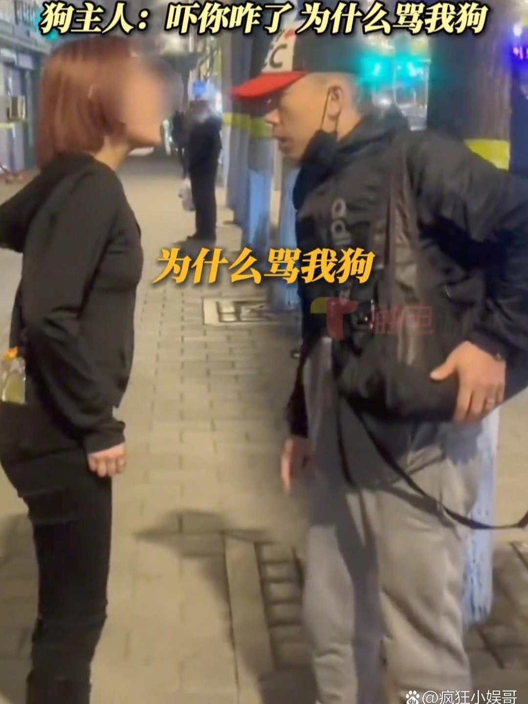 未牵绳的够扑到路人,狗主人不但不道歉还口出狂言:吓你怎么了!