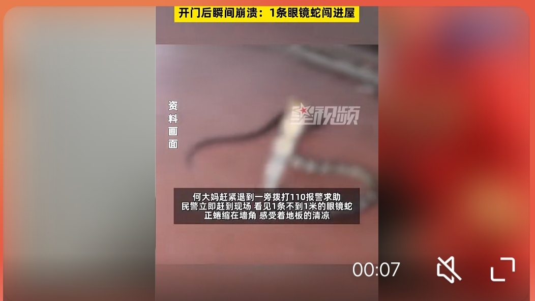 眼镜蛇警告声音图片