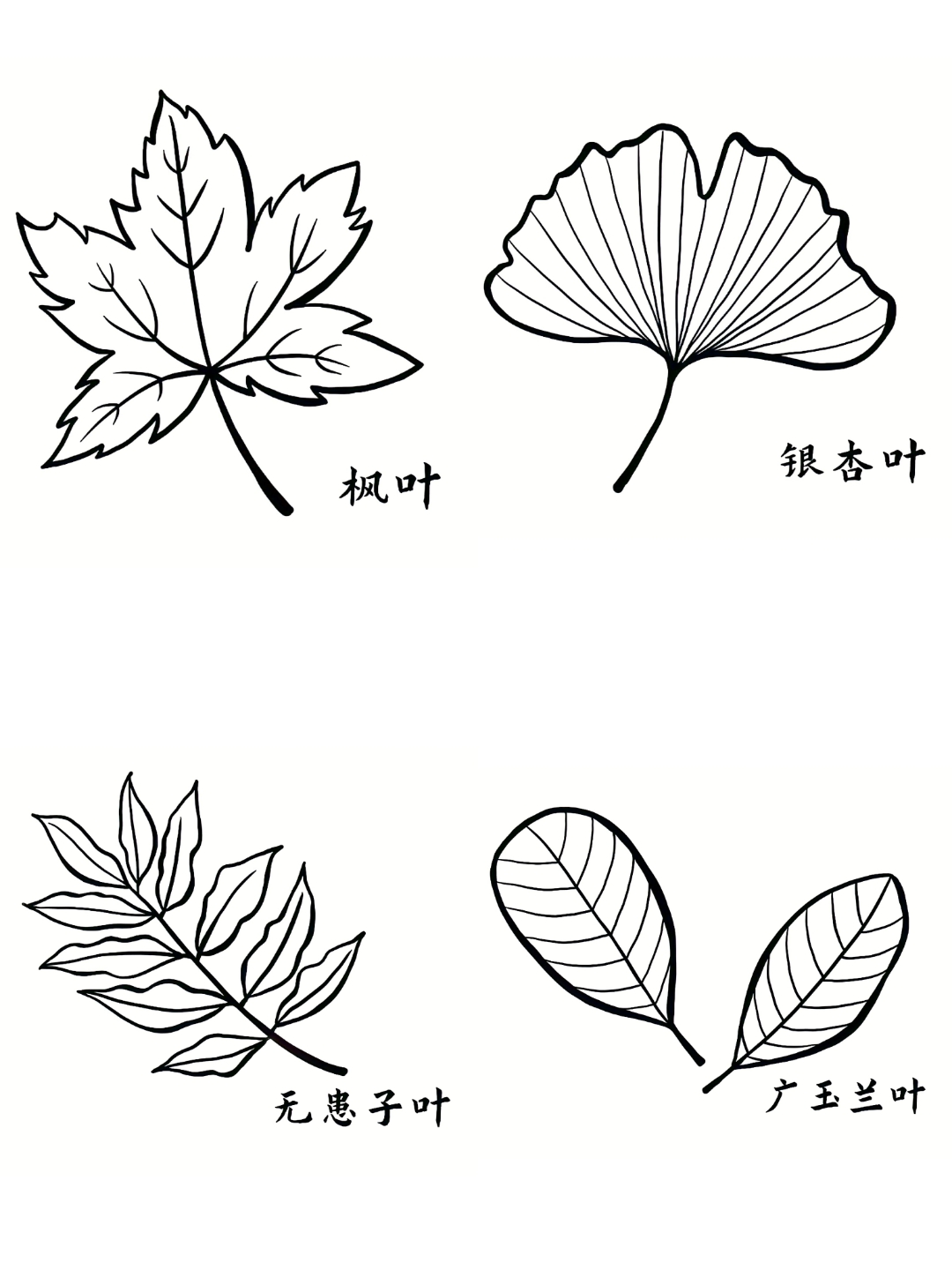 如何画树叶简笔画