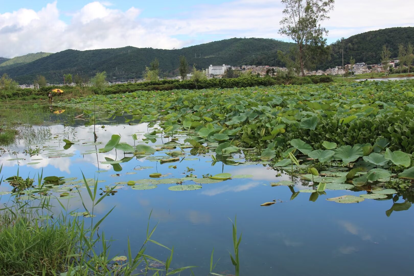 阵营村依山傍水