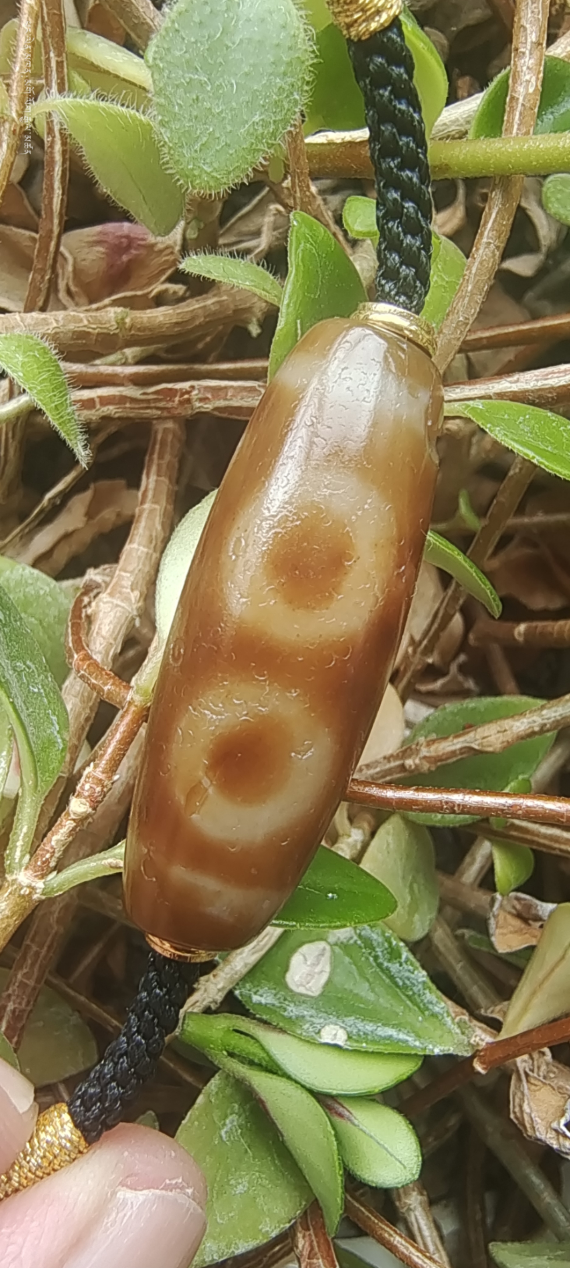 今日阳光明媚,偶然间入手一枚千年至纯三眼天珠,它仿佛承载着千年的