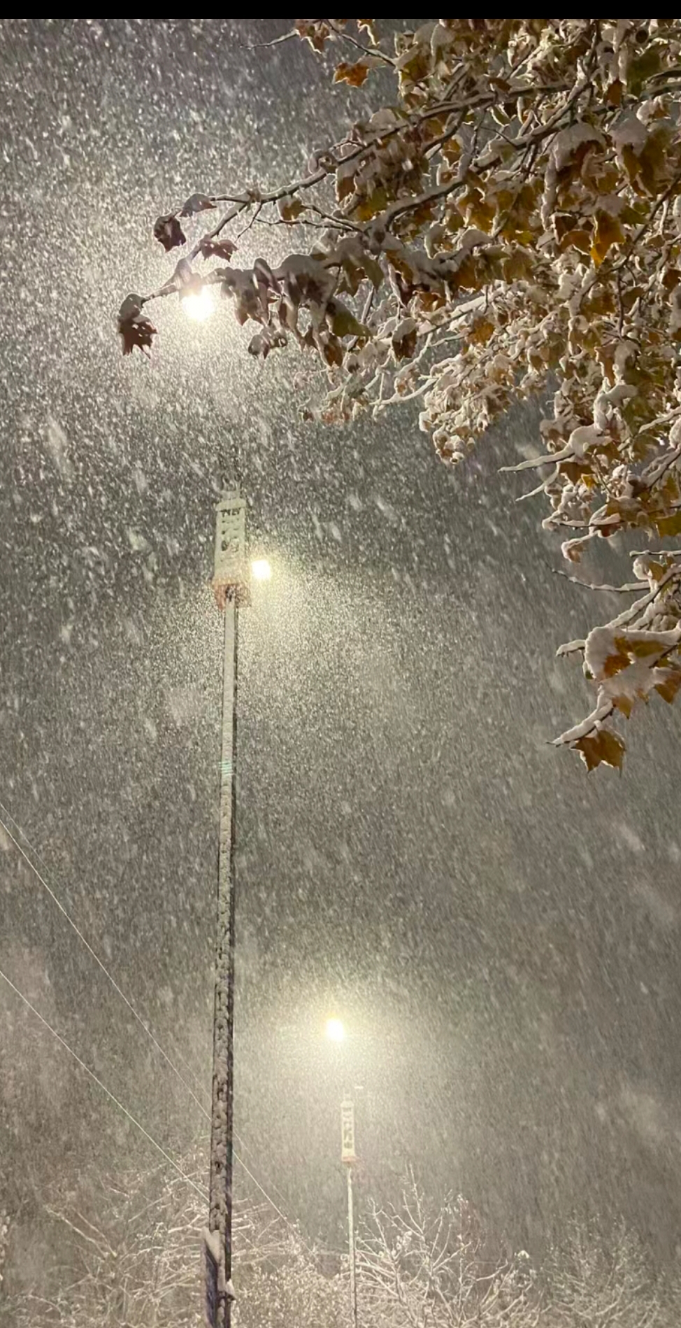 路灯下飘雪唯美图片图片