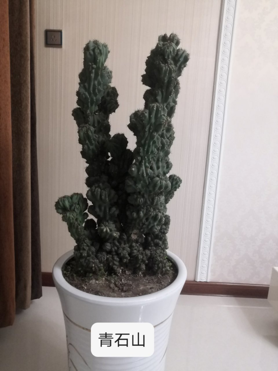 分享图片
