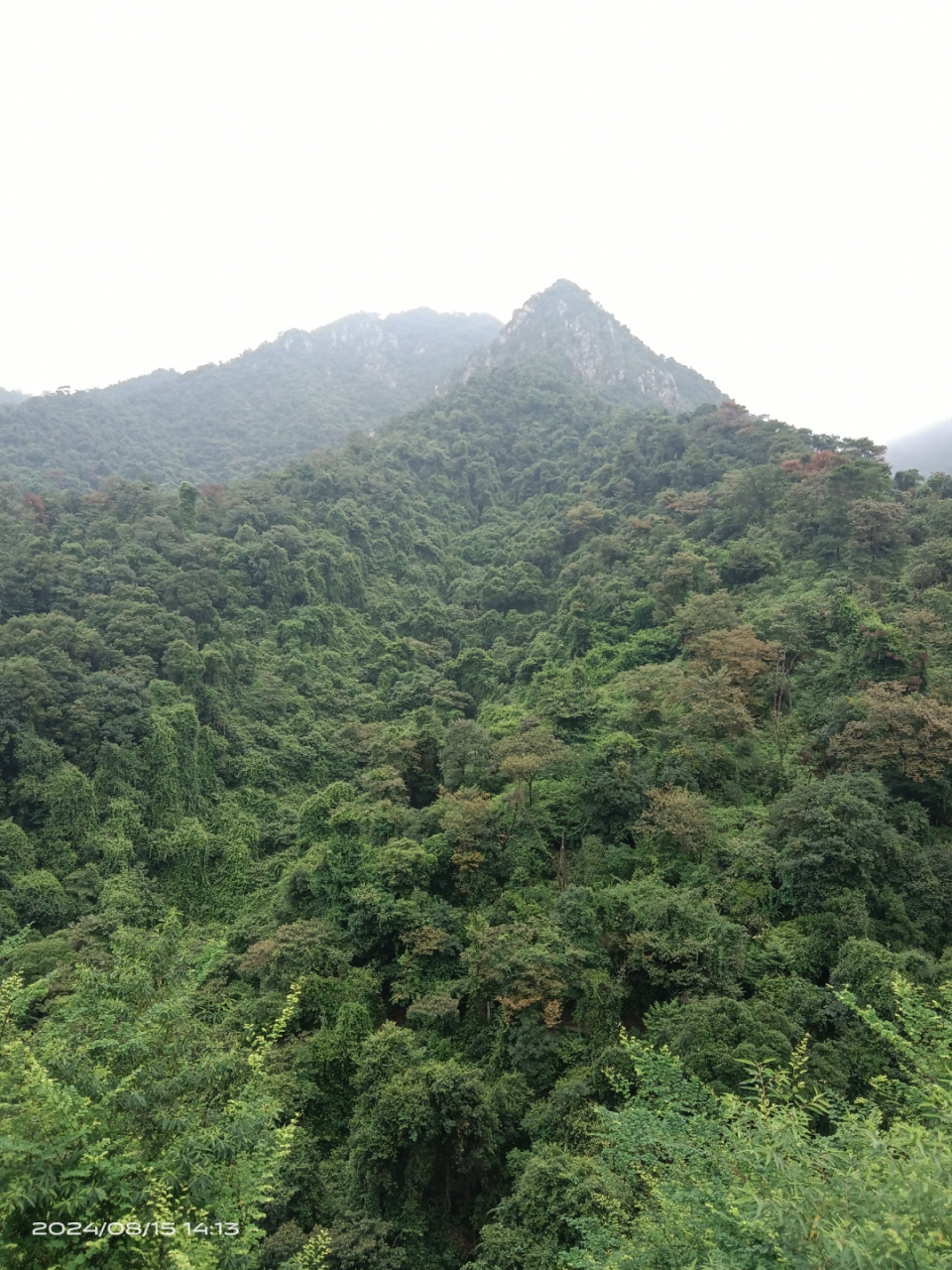 我家乡的大山,绿意盎然,站在山顶,心旷神怡.