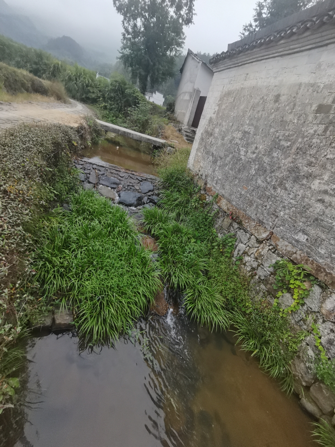 色空本无异, 落红何人埋?