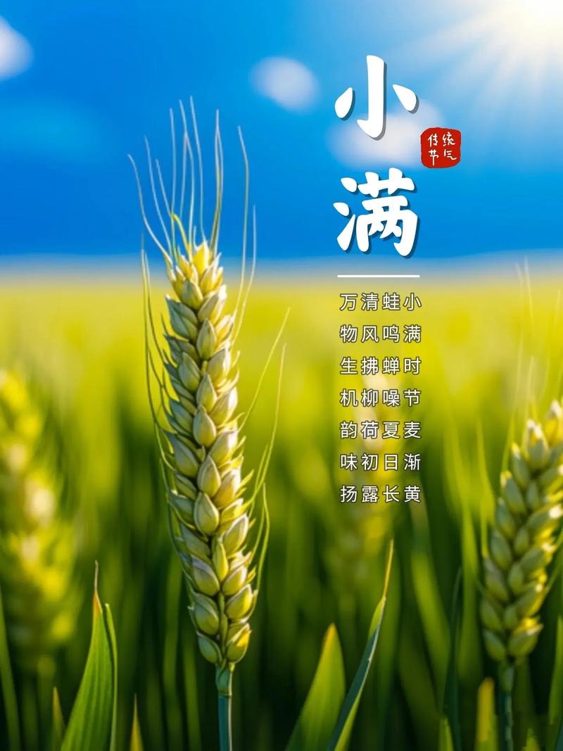 《小满》 麦浪涌青畴,桑阴覆翠楼. 一川烟雨润,半岭苦菜稠