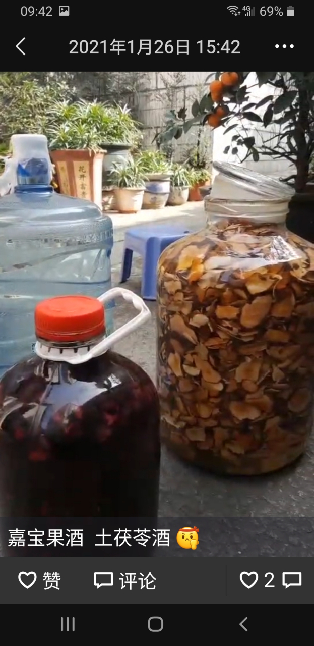 嘉宝果 野生牛大力 野生土茯苓 自家泡酒