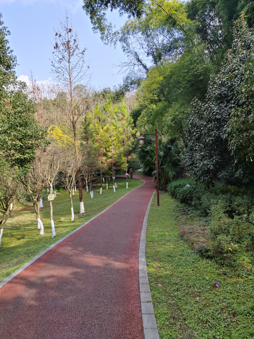 2025年大年初六,出门到乐山绿心公园走走