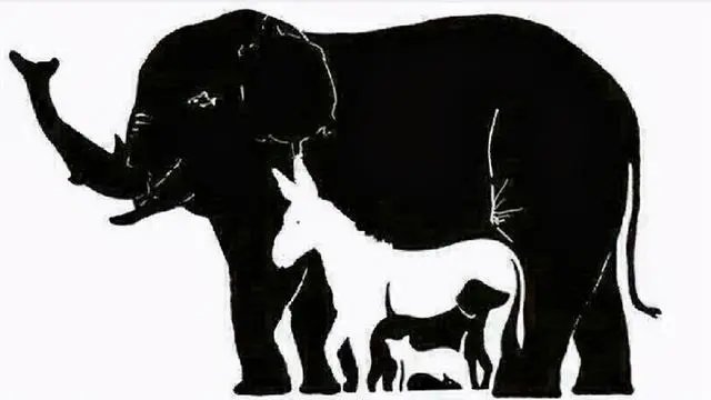 猜一猜这幅图里有多少种动物?