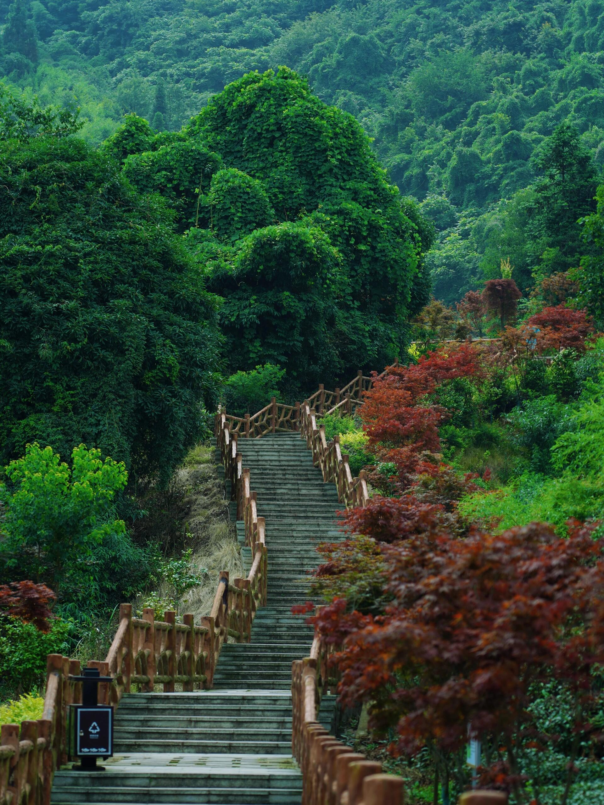 林海图片 风景湖南道县苍翠森林湿润区的景观图一片森林祥林铺美景