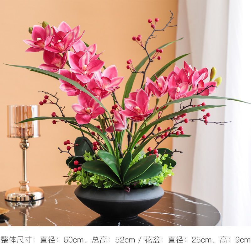 终于入手了心心念念的红粉佳人蝴蝶兰!