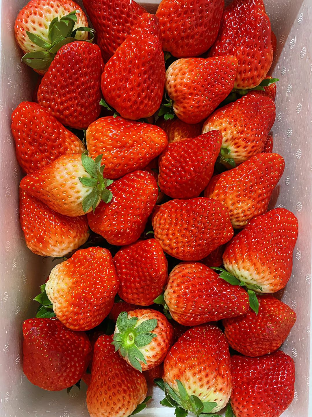 这些草莓颜色鲜艳,每一颗都散发着诱人的光泽,就像藏在一片绿色的