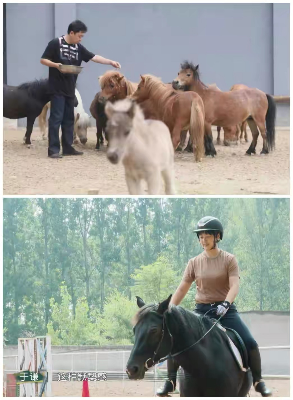 于谦的家可以媲美动物园了,里面什么动物都有,有藏獒,鸽子,梅花鹿,马