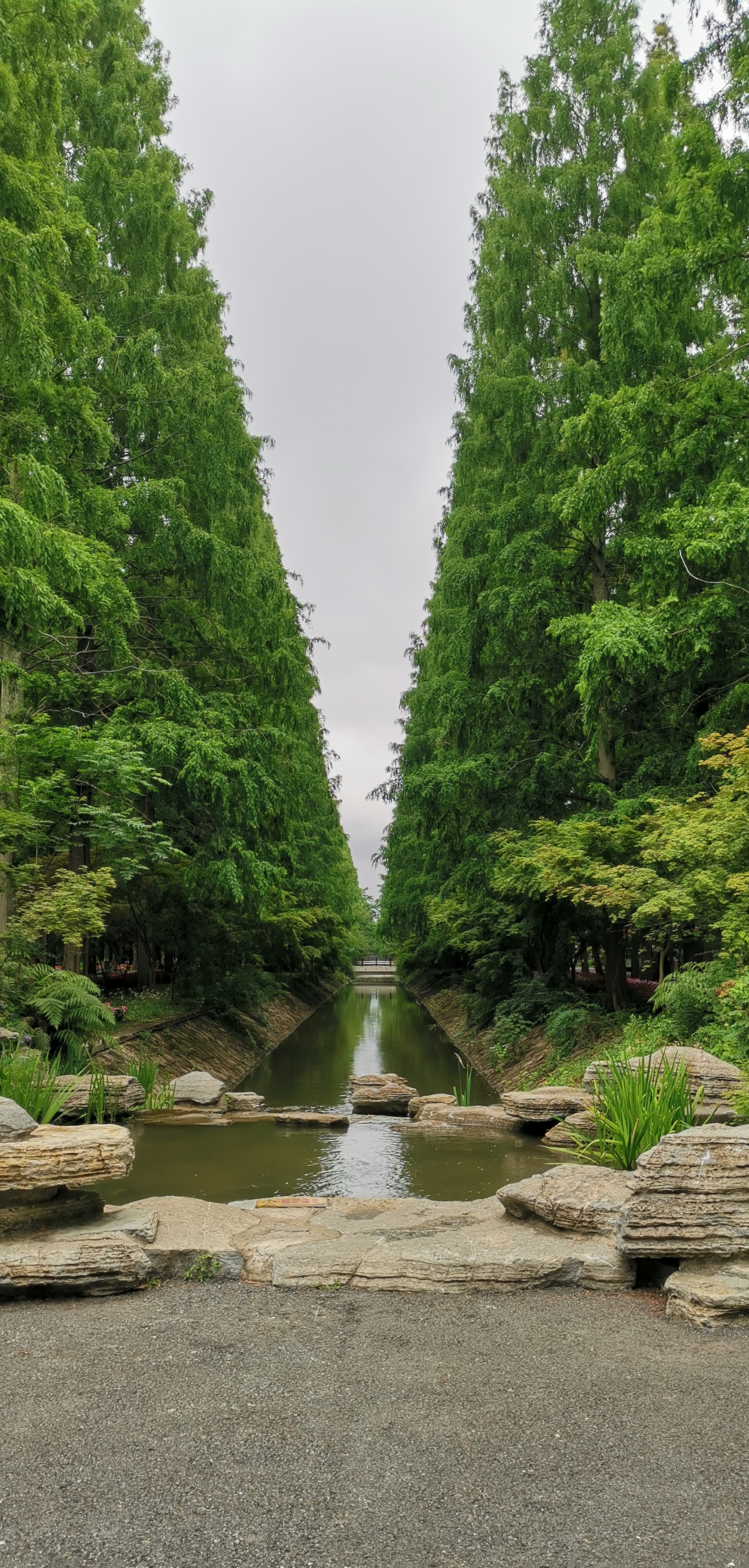 东平国家森林公园景点图片