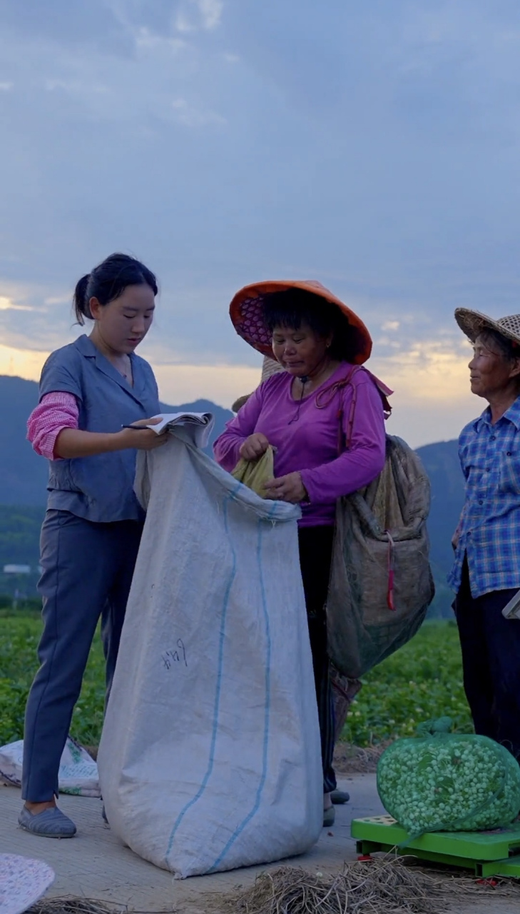 沈丹在家乡通过新型电商打开茶叶销路,并在武夷山脚下开了茶厂